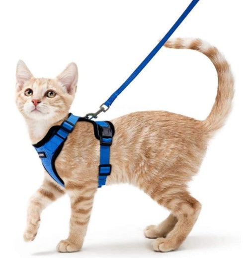 Cats Breathable Chest Strap Reflective