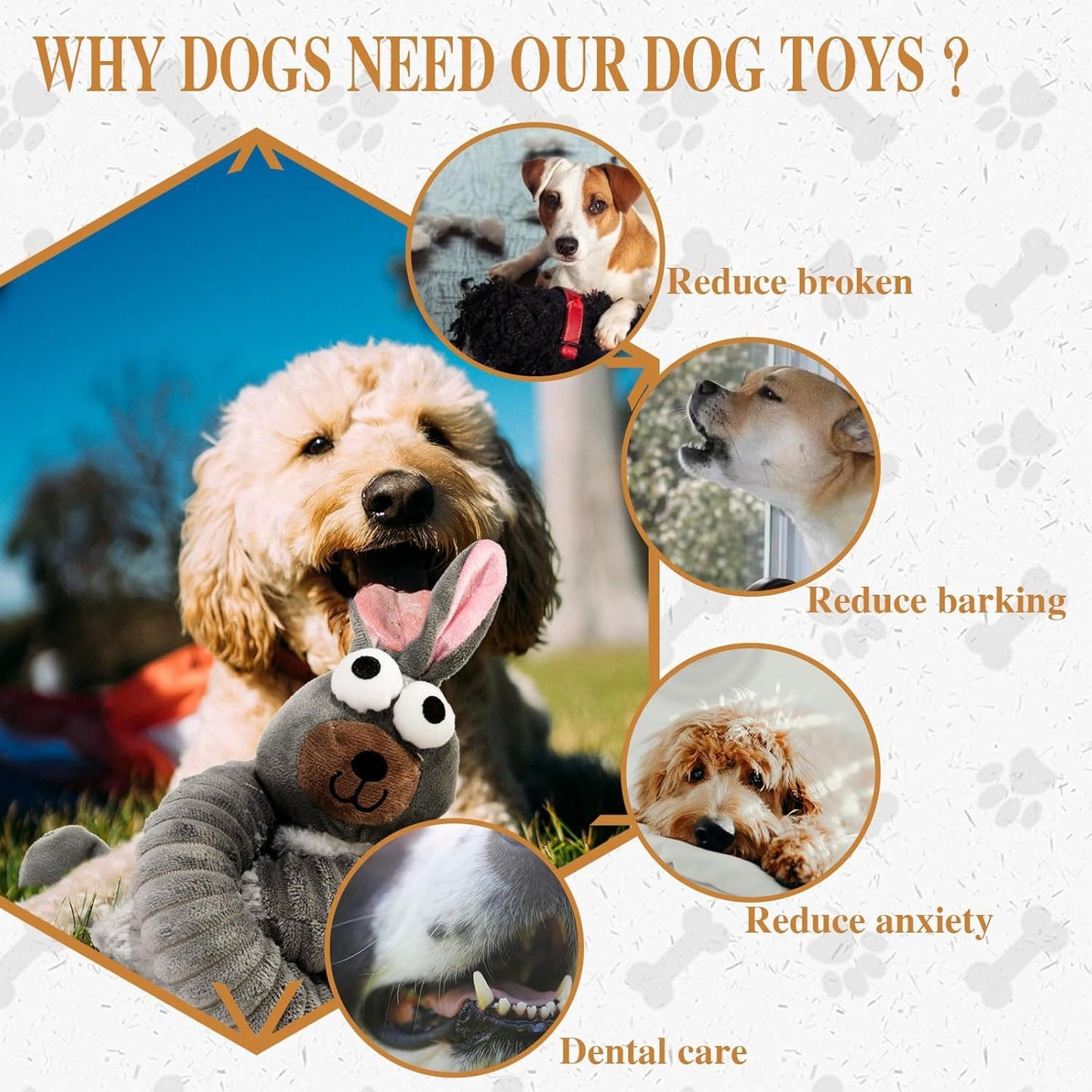 Squeaky Dog Toys
