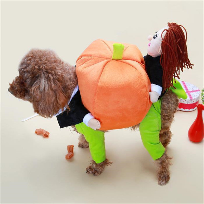 Pet Halloween Pumpkin Costume