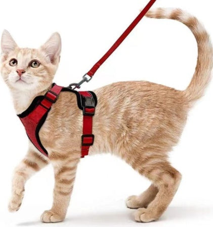 Cats Breathable Chest Strap Reflective