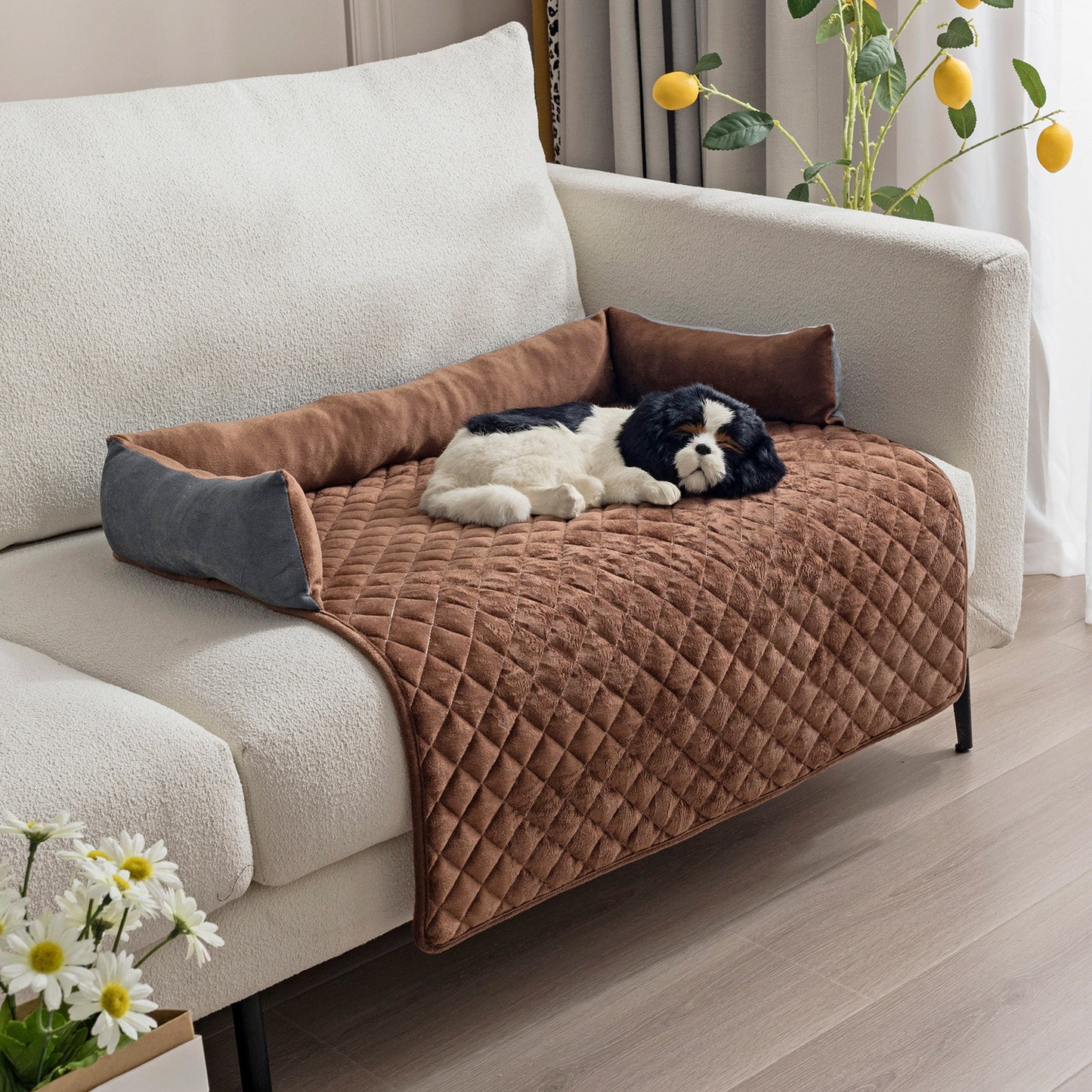 Pet Sofa