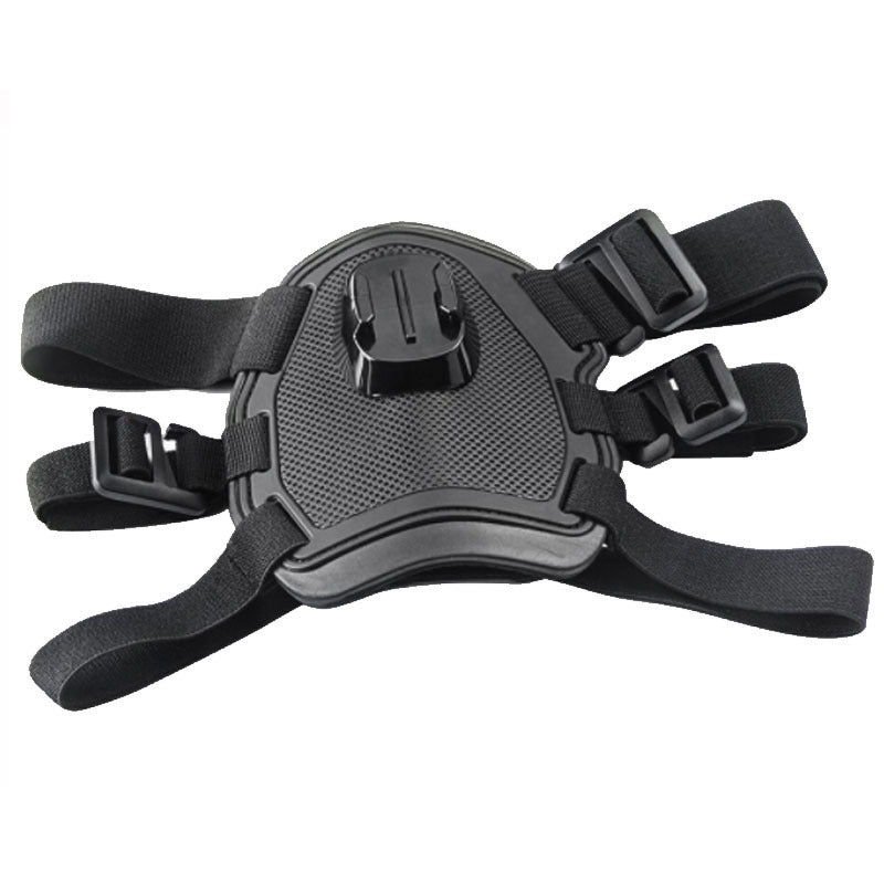 Dog Camera Holder