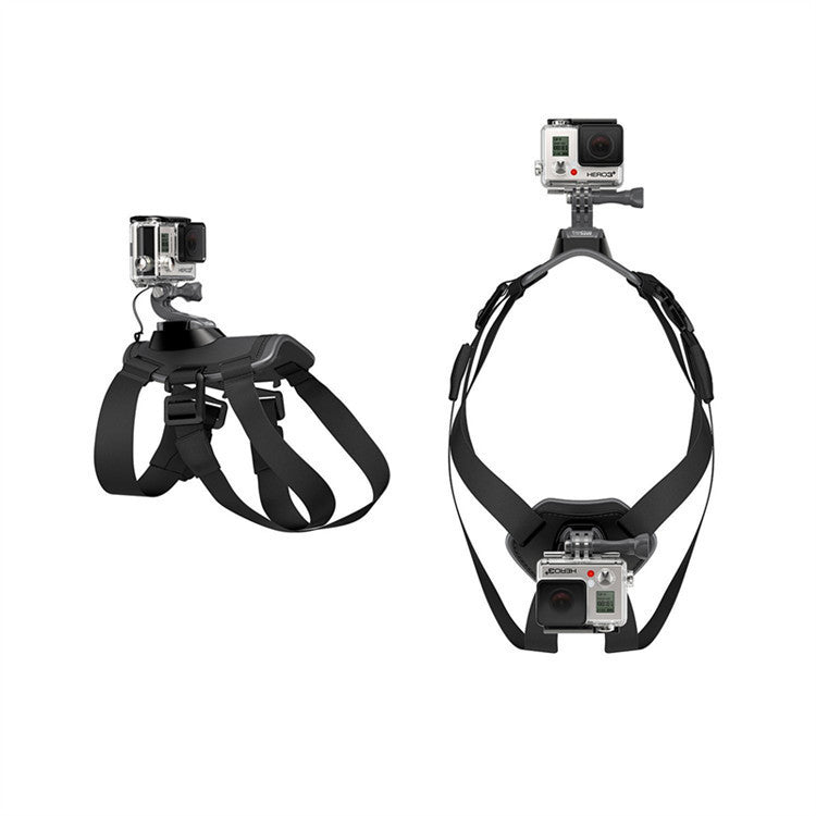 Dog Camera Holder