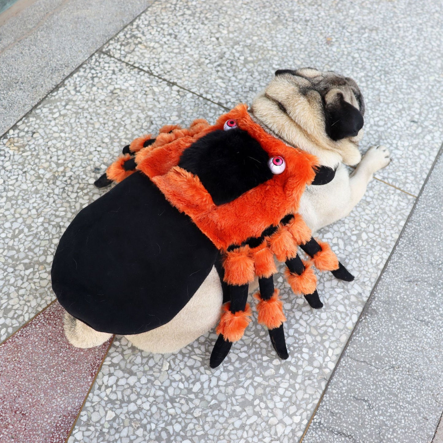 Pet Clothes Halloween Spider