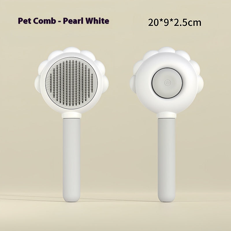 Cleaning Brush With Spray