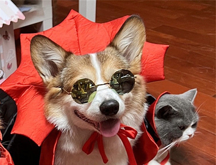 Halloween Pet Costume Vampire King