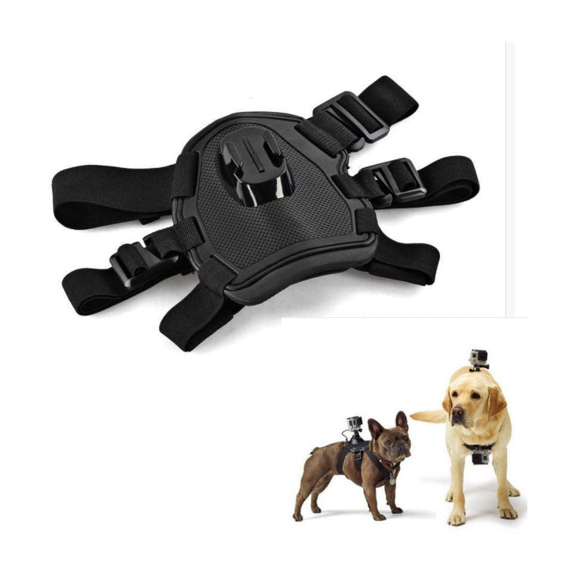 Dog Camera Holder