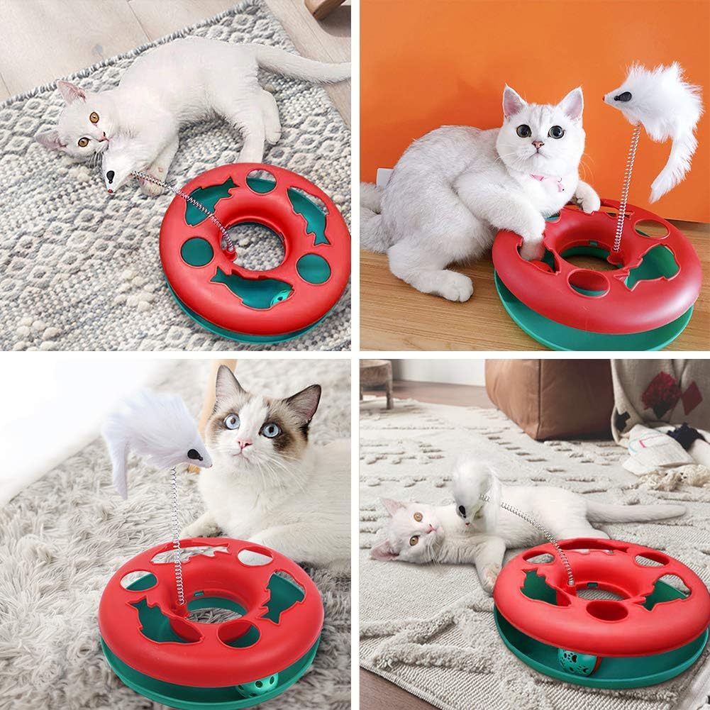 Cat Toys