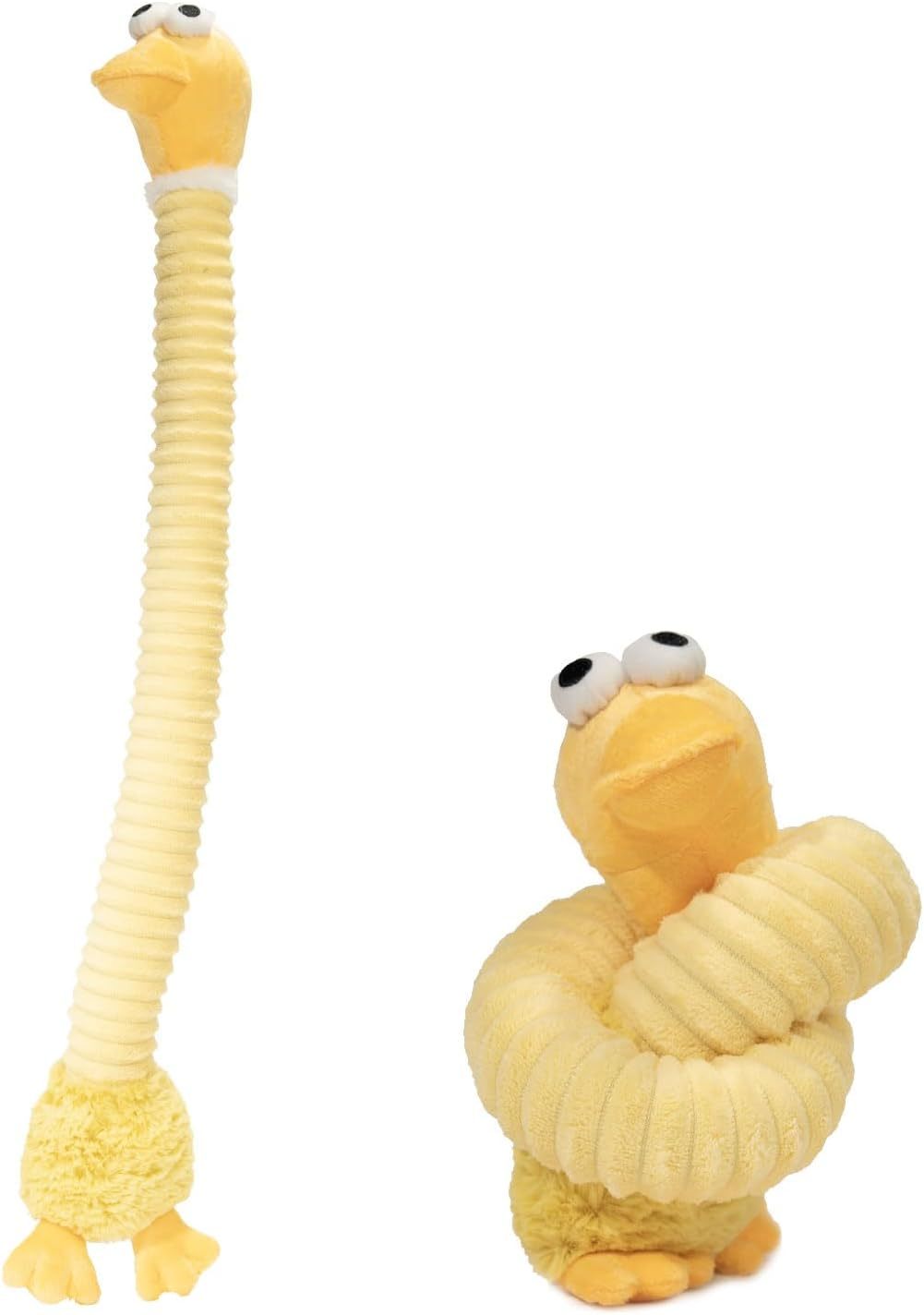 Squeaky Dog Toys