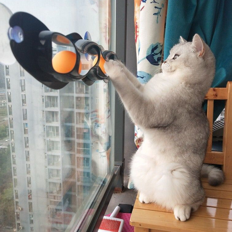 Cat toy on the window