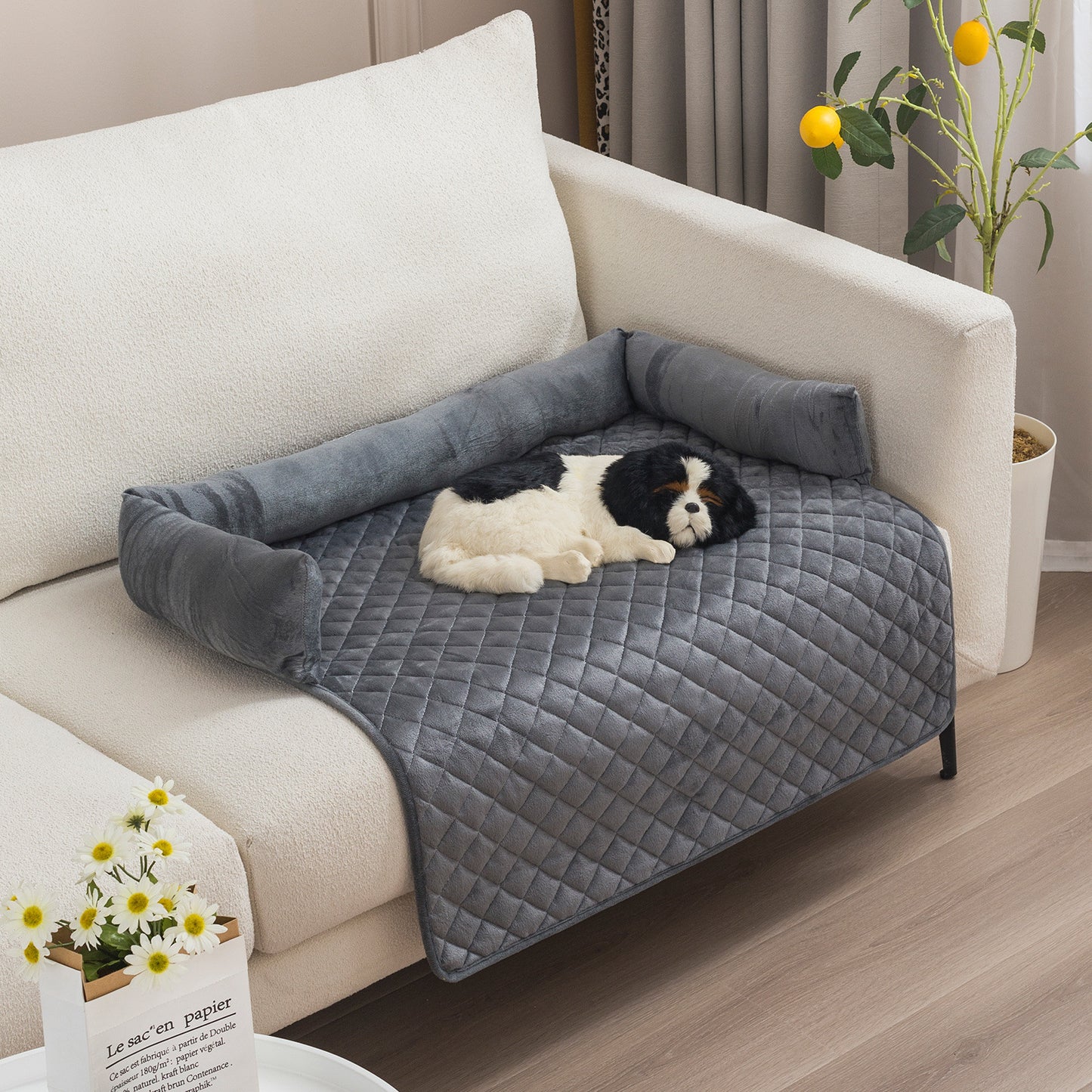 Pet Sofa