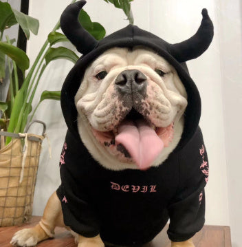 Pet halloween plus fleece sweater
