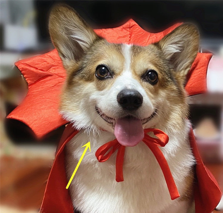 Halloween Pet Costume Vampire King