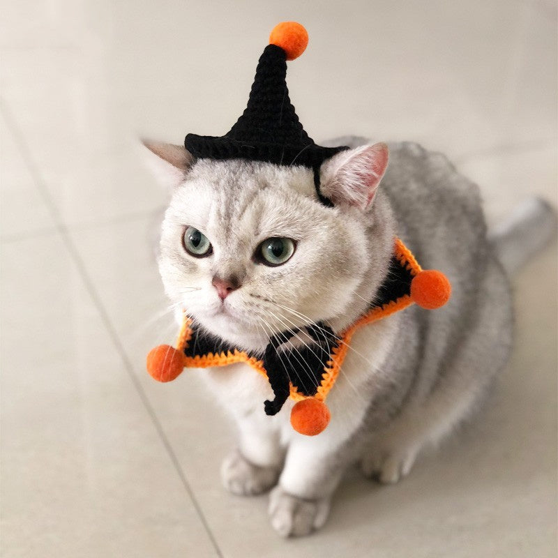 Pet Halloween