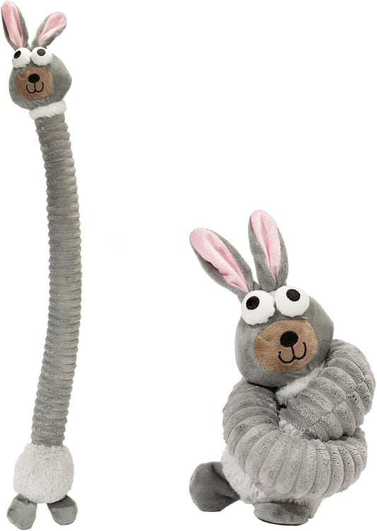 Squeaky Dog Toys