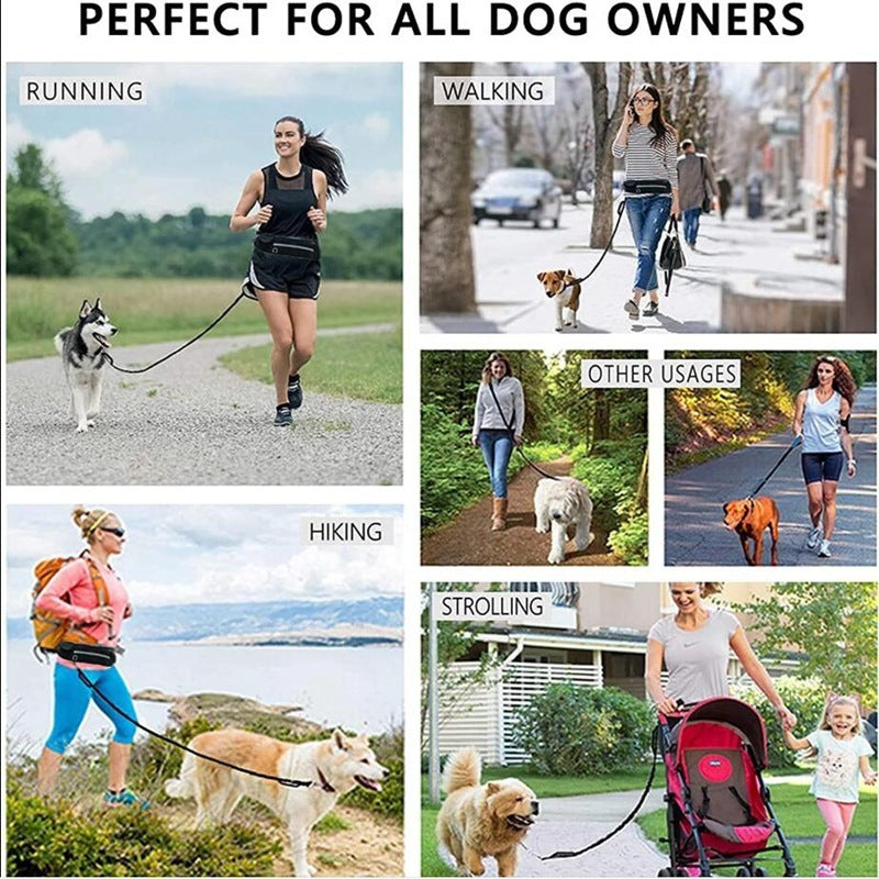 Dog walking and training belt