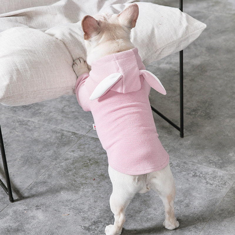 Spring And Autumn Dog Clothing