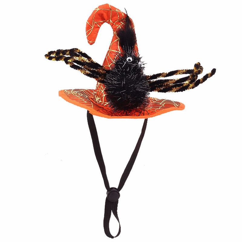 Halloween pet hat