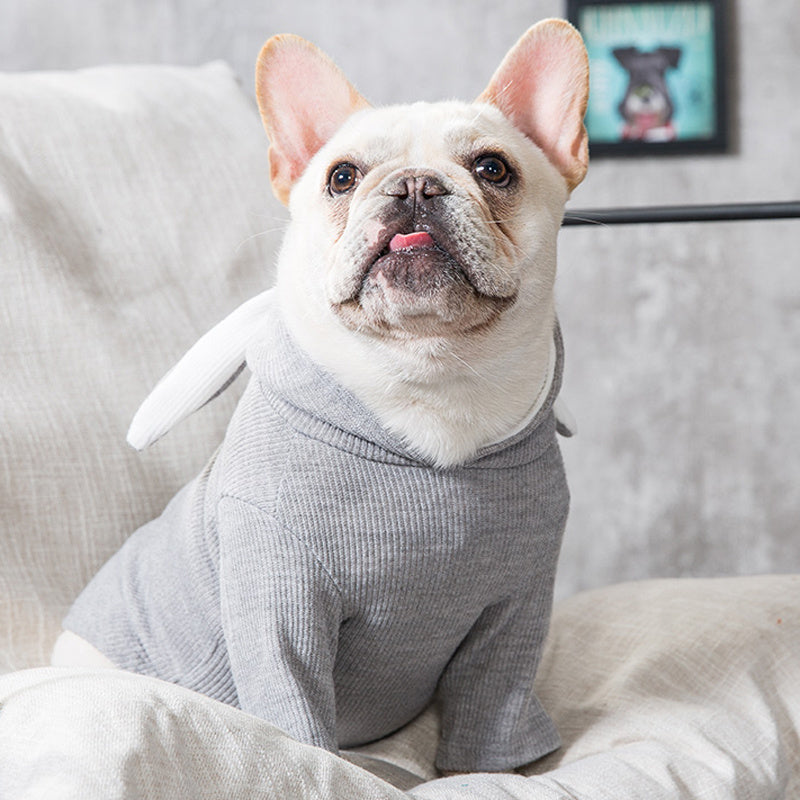 Spring And Autumn Dog Clothing