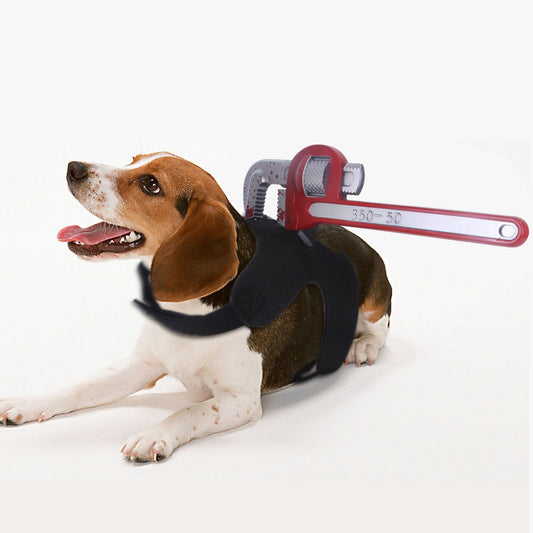 Halloween dog accessory