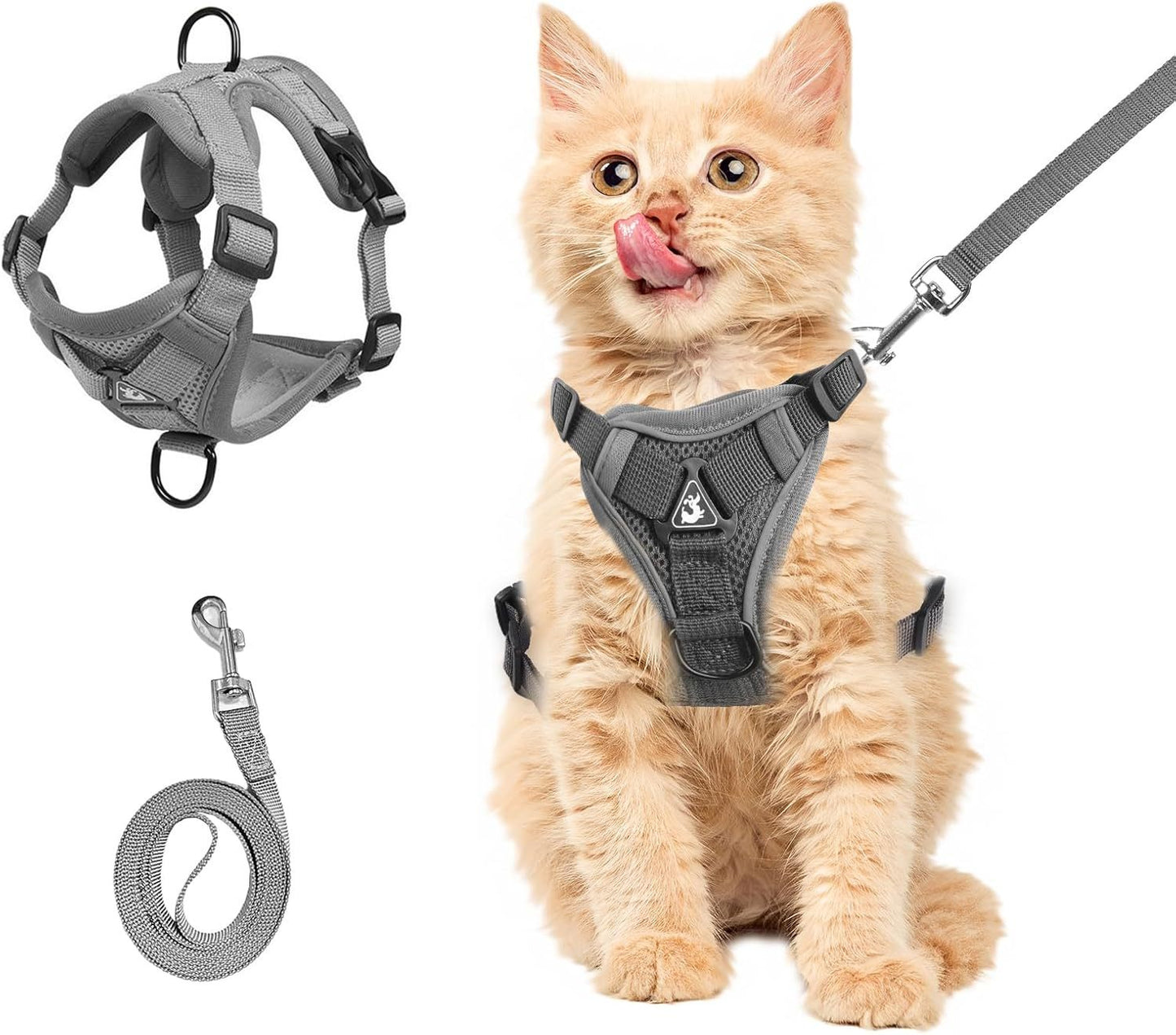 Summer Cat Chest Harness And Leash