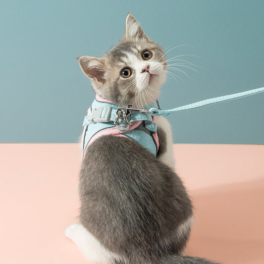 Chest strap for cats