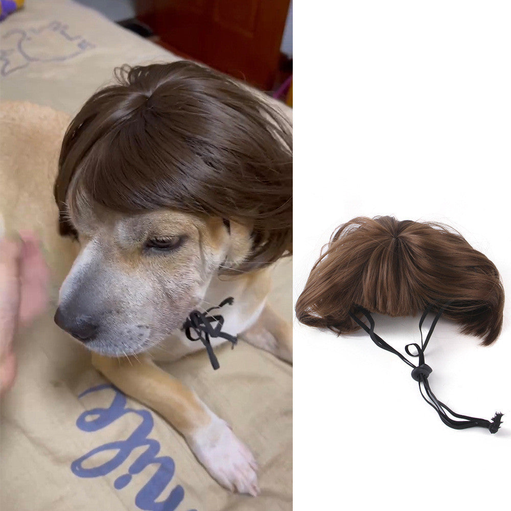 Halloween Wig Pet Accessories