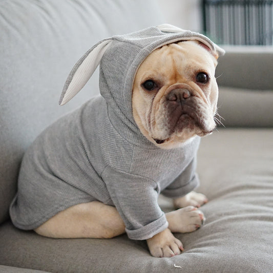 Spring And Autumn Dog Clothing