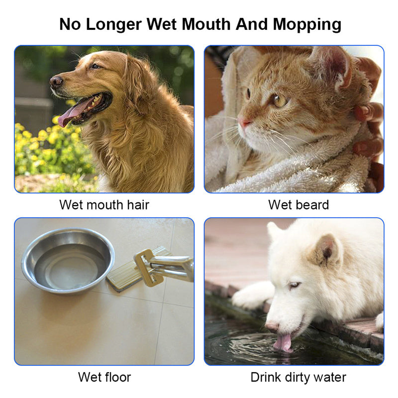 Pet Carried Floating Bowl
