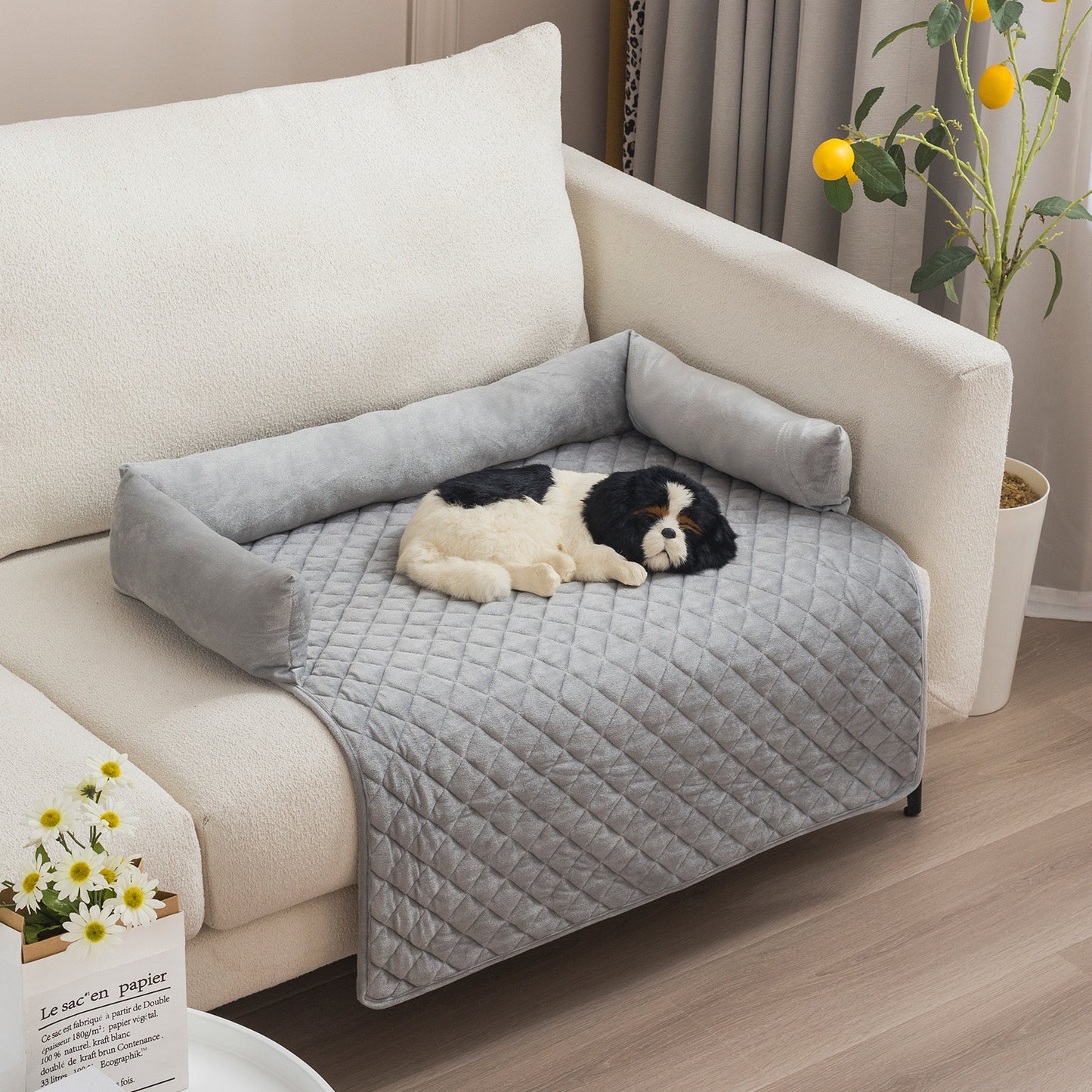Pet Sofa
