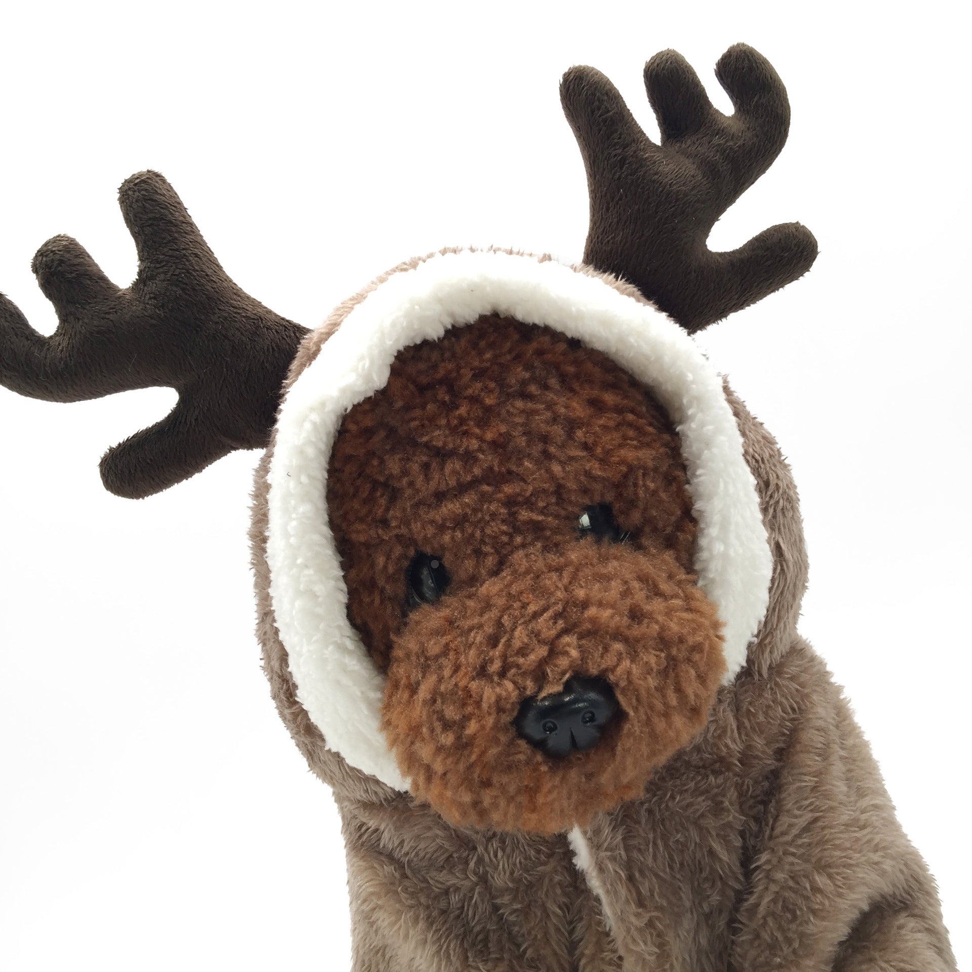 Christmas Dog Clothes