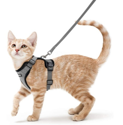 Cats Breathable Chest Strap Reflective