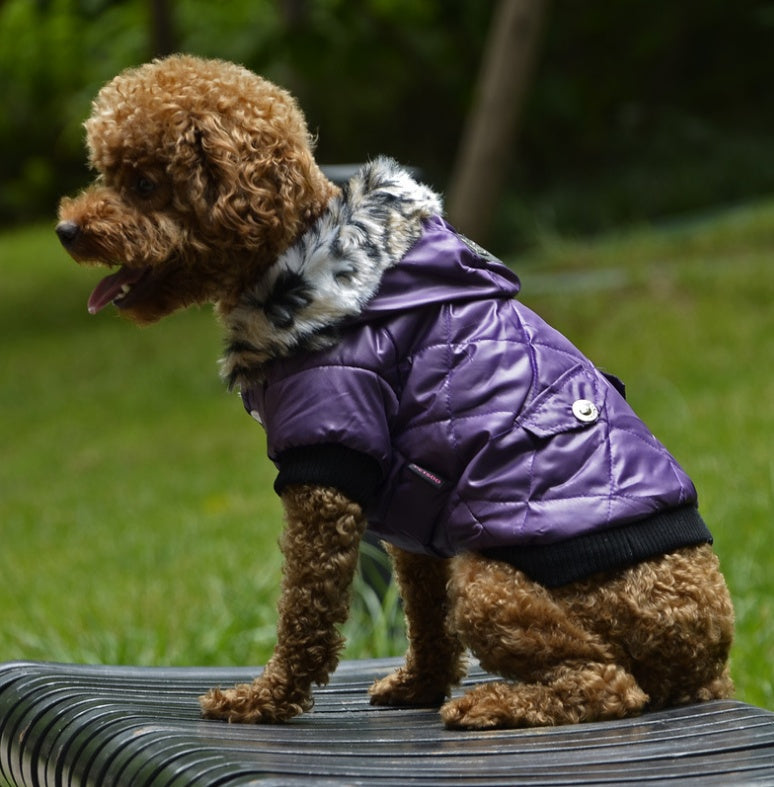 Jacket for dogs