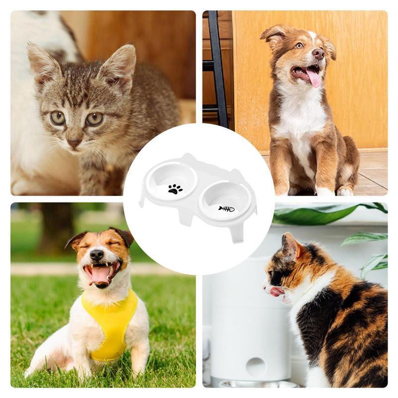 Cat Food And Water Bowl Set