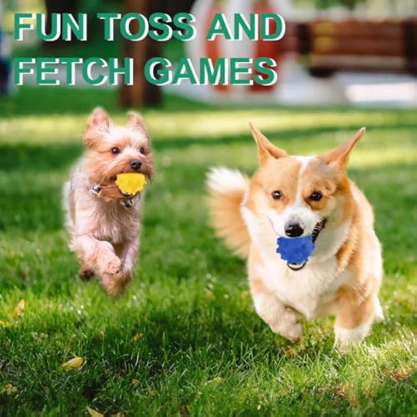 Dog Toy Balls