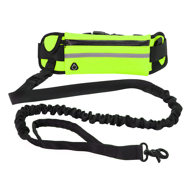 Dog walking and training belt