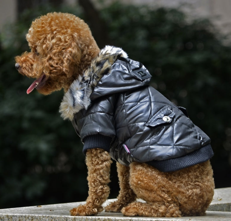 Jacket for dogs