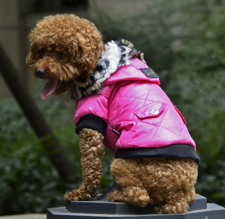Jacket for dogs