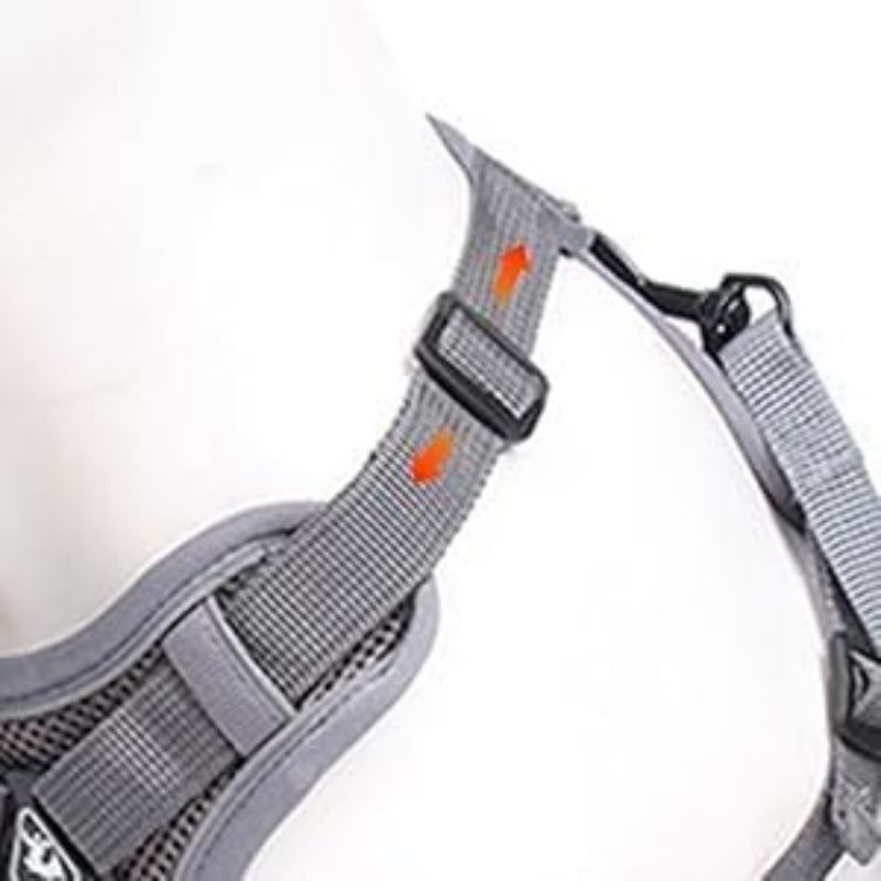 Summer Cat Chest Harness And Leash