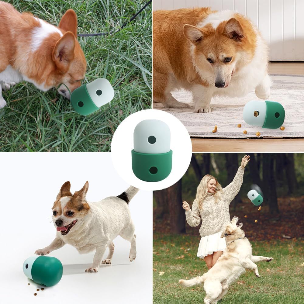 Pet Puzzle Toy