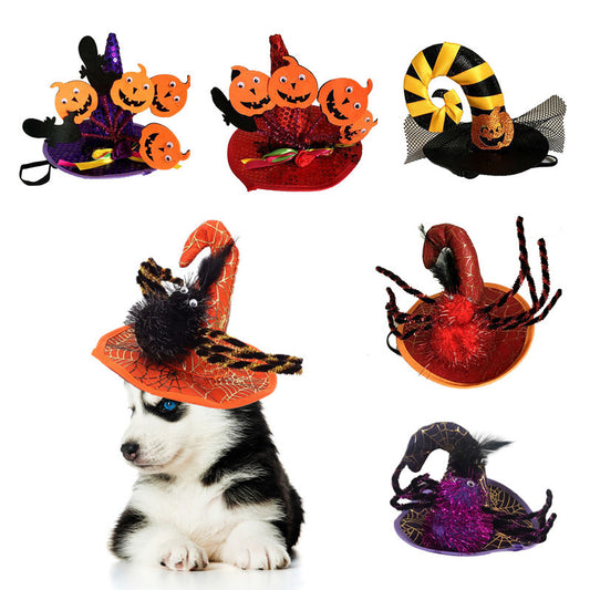 Halloween pet hat