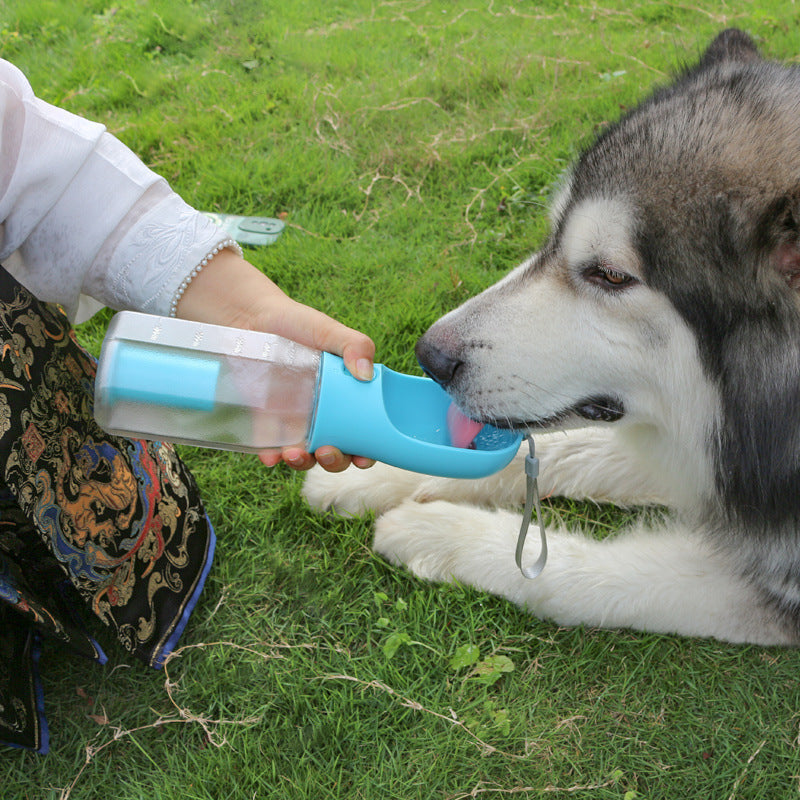 Portable Water Bottle for pet
