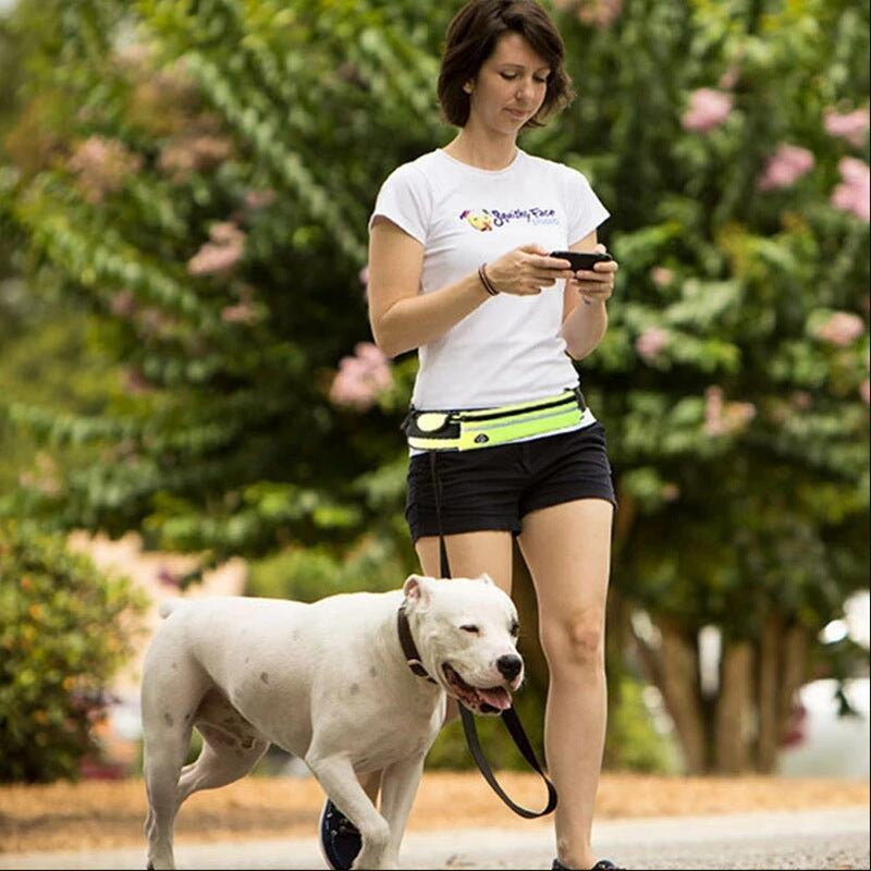 Dog walking and training belt