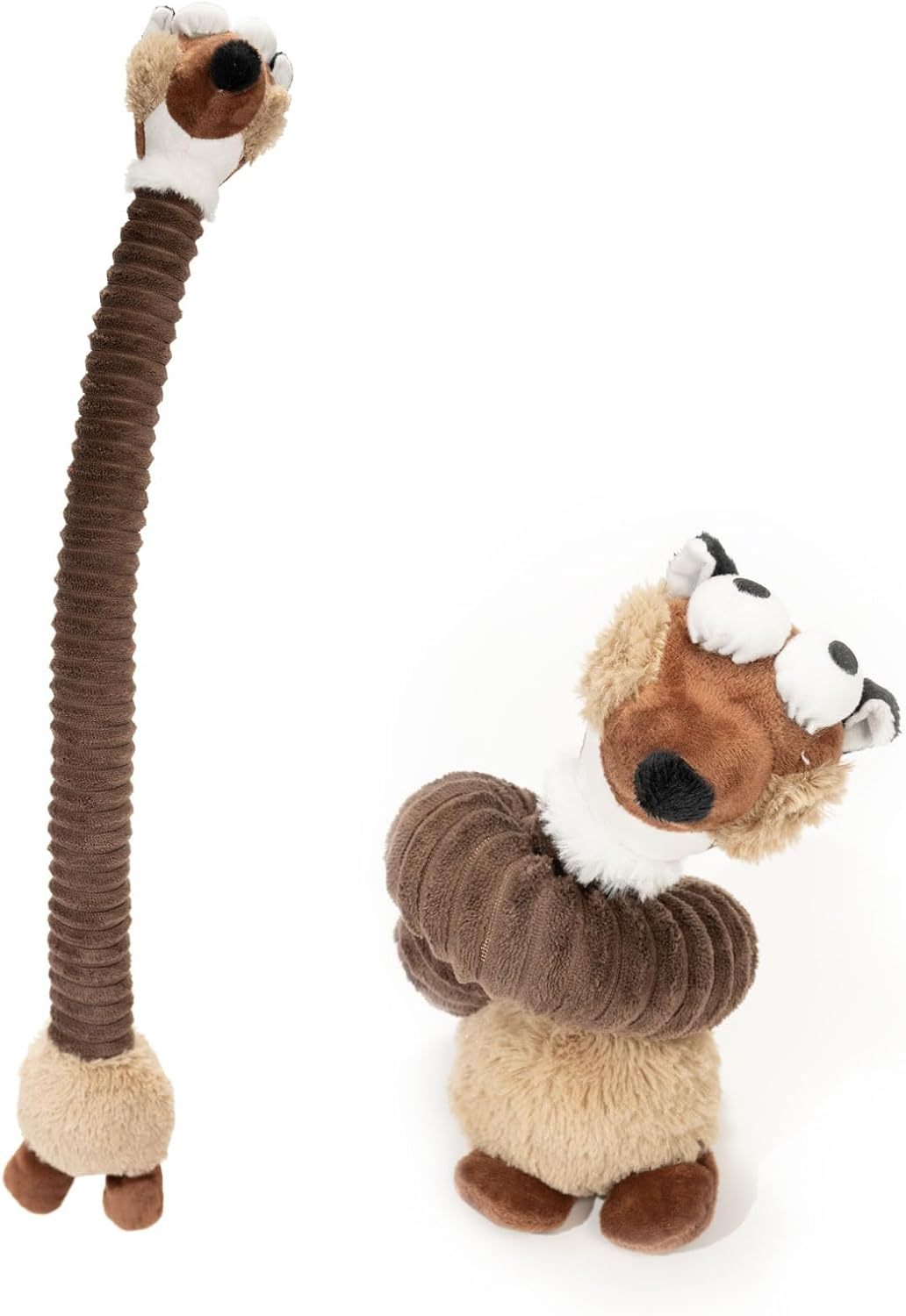 Squeaky Dog Toys