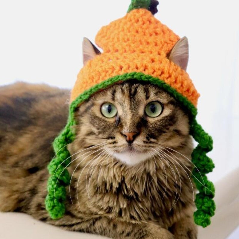 Halloween Knitted Pet Hat