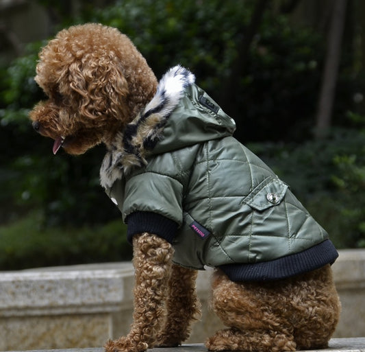 Jacket for dogs