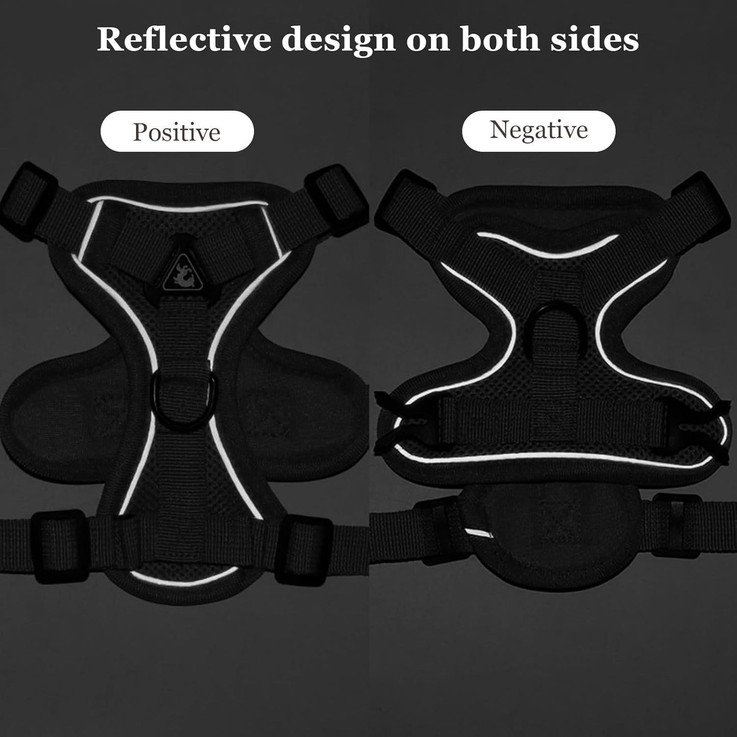 Summer Cat Chest Harness And Leash
