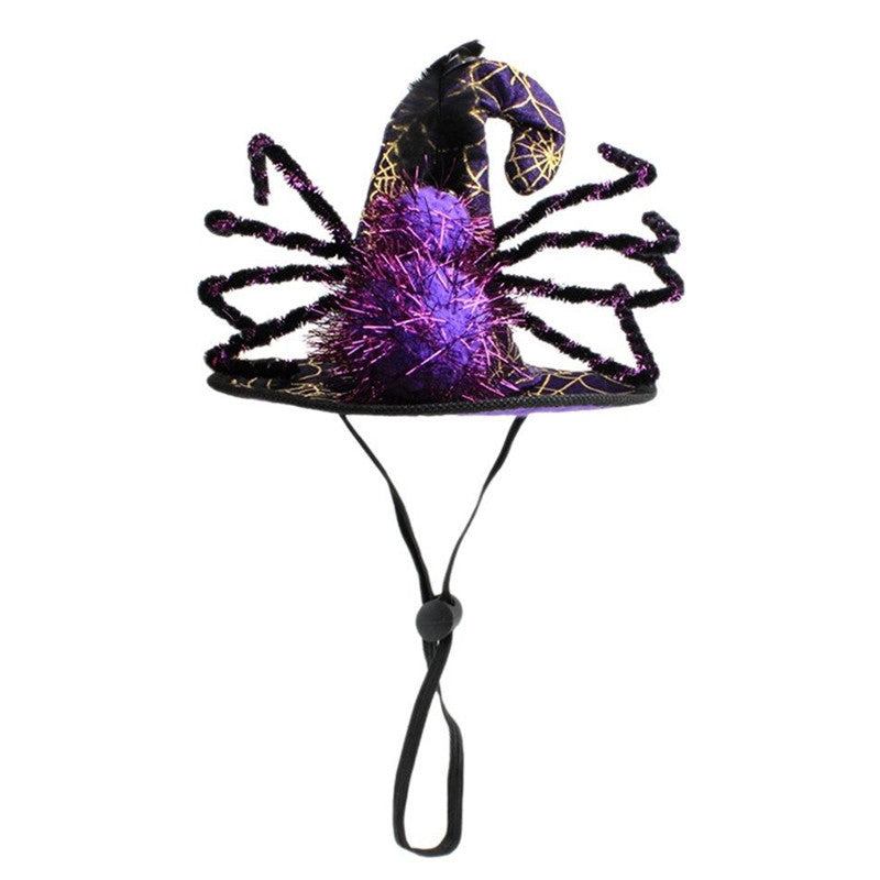 Halloween pet hat