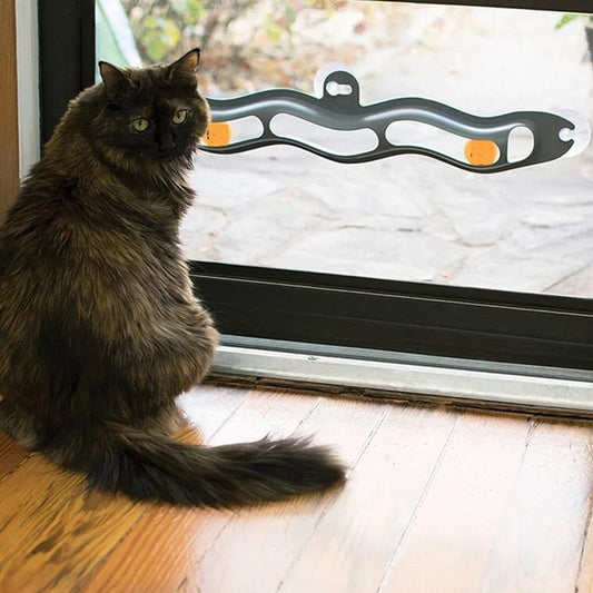 Cat toy on the window