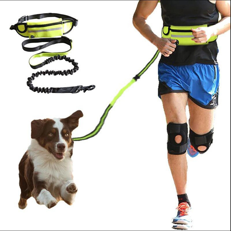 Dog walking and training belt